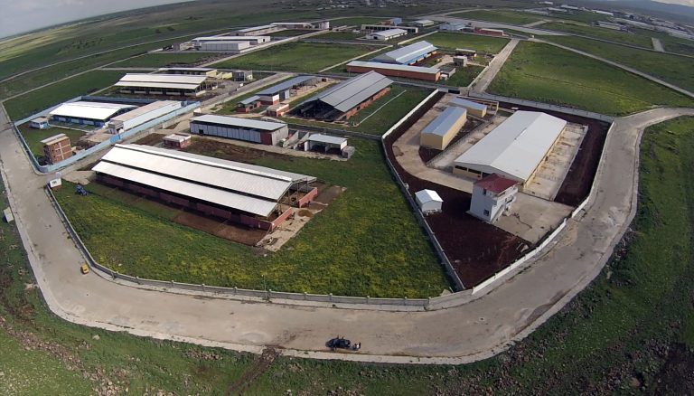 Türkiye’nin ilk örnek İhtisas Besi OSB’si Diyarbakır’da