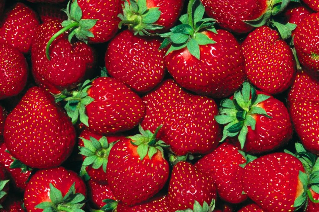 Rusya, domatesten sonra çilekleri de geri gönderdi