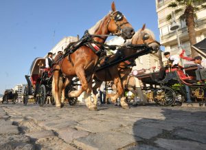 İzmir’de fayton dönemi sona erdi