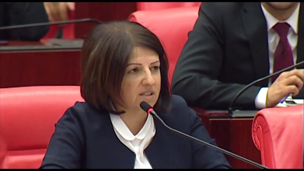 HDP’li Kurtulan Meclis’e sordu: Lice’de neler oluyor, açıklayın!
