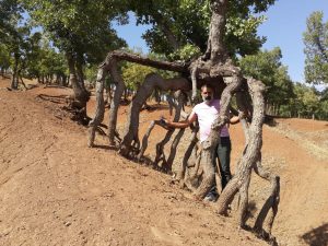 “Yüzüklerin Efendisi” Diyarbakır’da görüldü!