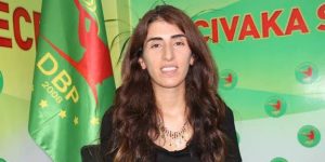 Diyarbakır’da HDP’li Meclis Üyesi gözaltına alındı