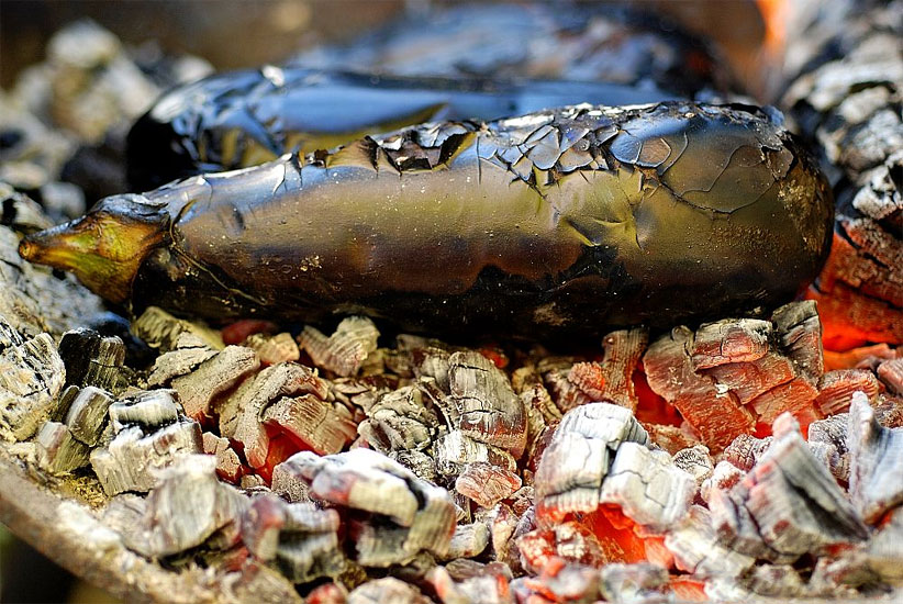 Diyarbakır’da babaganuç sezonu başladı