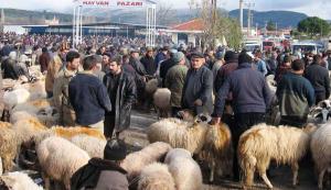 Diyarbakır’da et fiyatlarında düşüş beklentisi