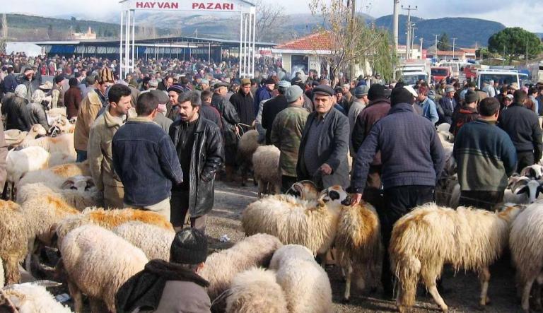 Konya’da veba karantinası; giriş-çıkışlar yasaklandı