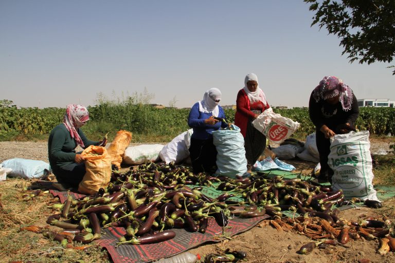 Bismil Belediyesi’nin örnek projesi yoksullara çare oldu
