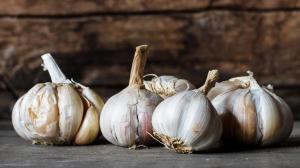 Türkiye, Sudan’dan sarımsak, buğday, üzüm, bal ve yumurta ithal edecek