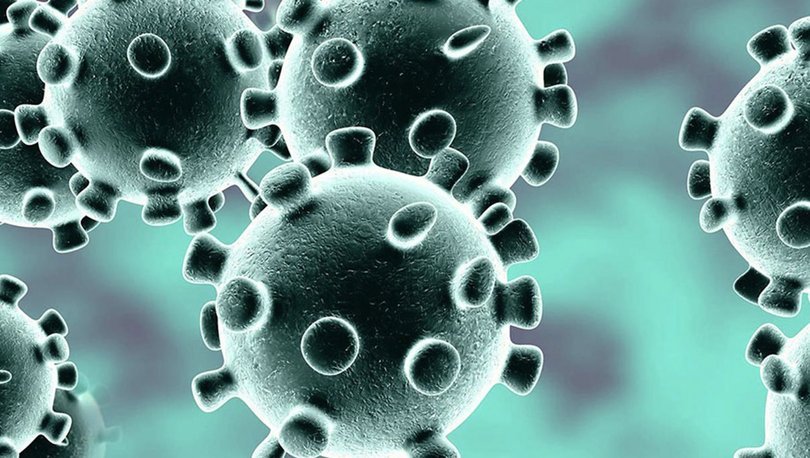 Diyarbakır’da dokuz kişide mutasyonlu virüs tespit edildi