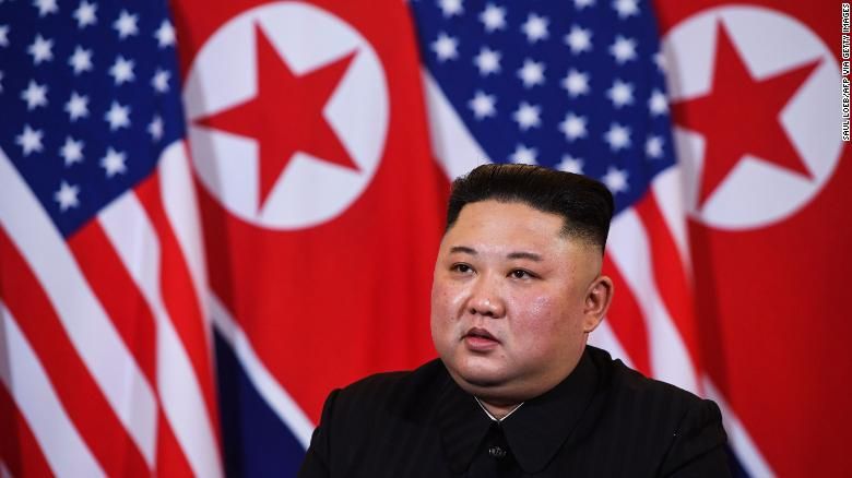 Kuzey Kore lideri Kim Jong-un bitkisel hayatta