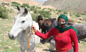 Koçerlerin zorlu yolculuğu başladı