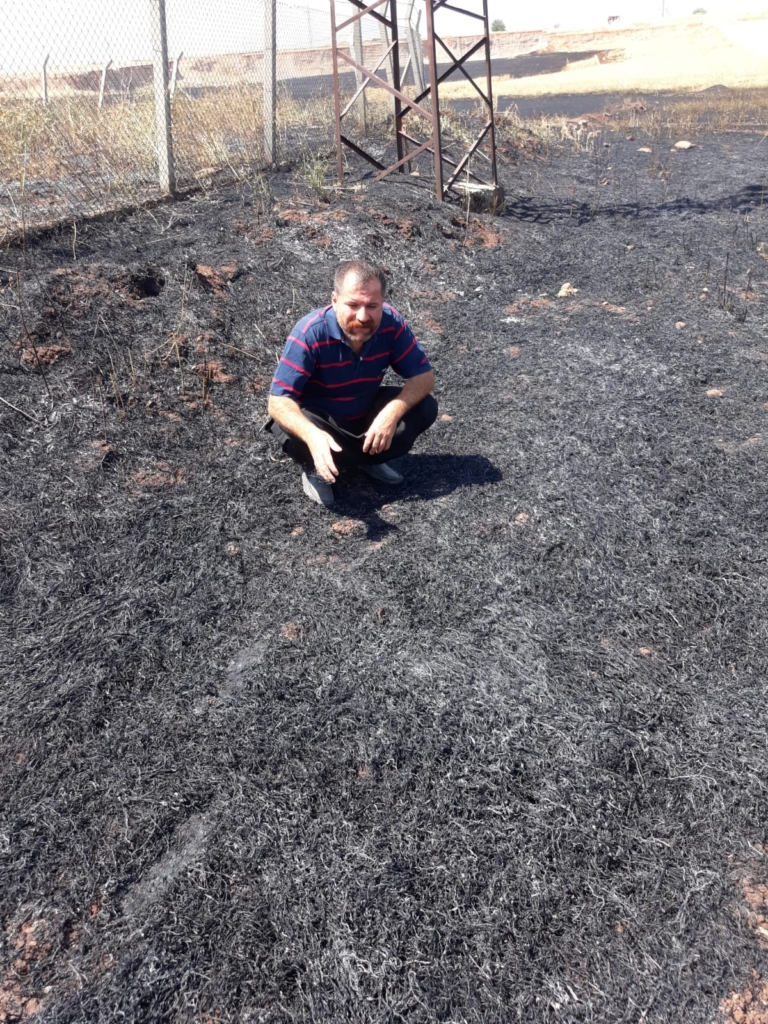 Ziraat Odası Başkanı’nın isyanı; 50 dönüm buğday tarlası kül oldu