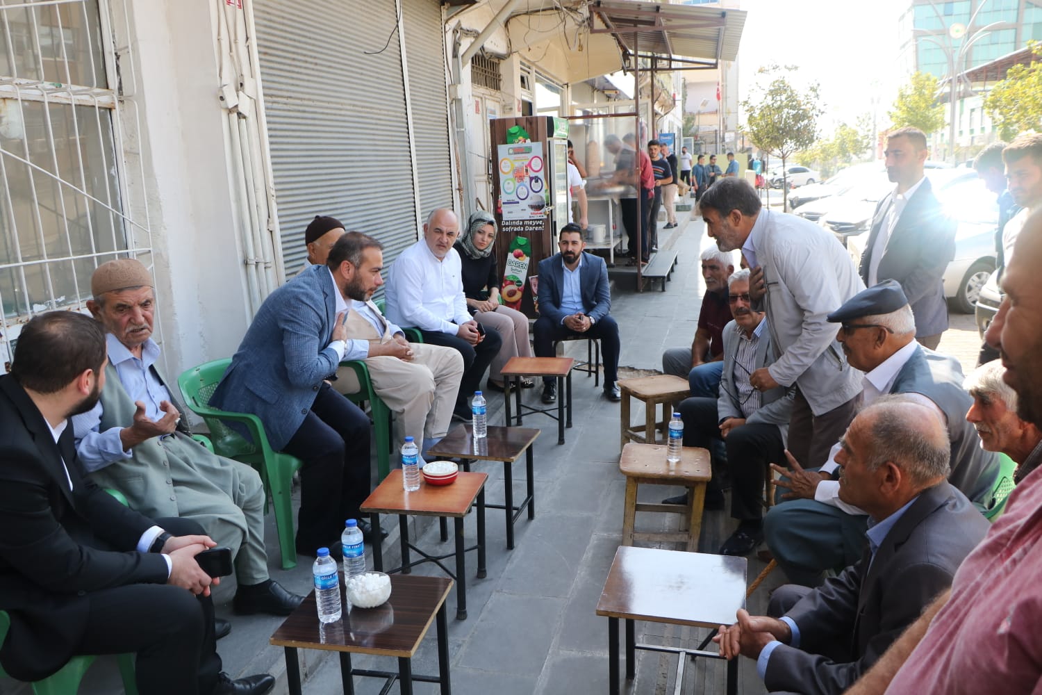 Diyarbakır AK Parti’den Çınar çıkarması