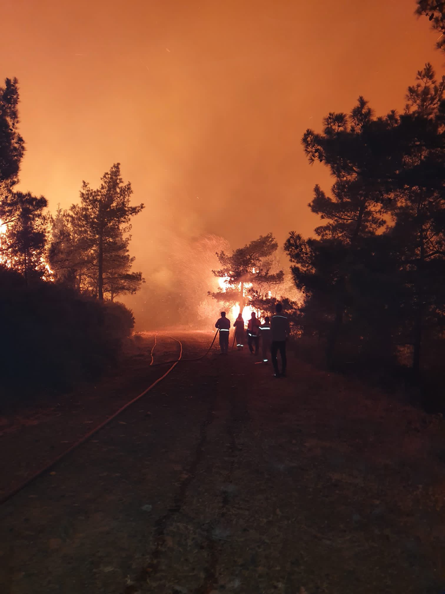 Marmaris’teki orman yangınıyla ilgili soruşturma