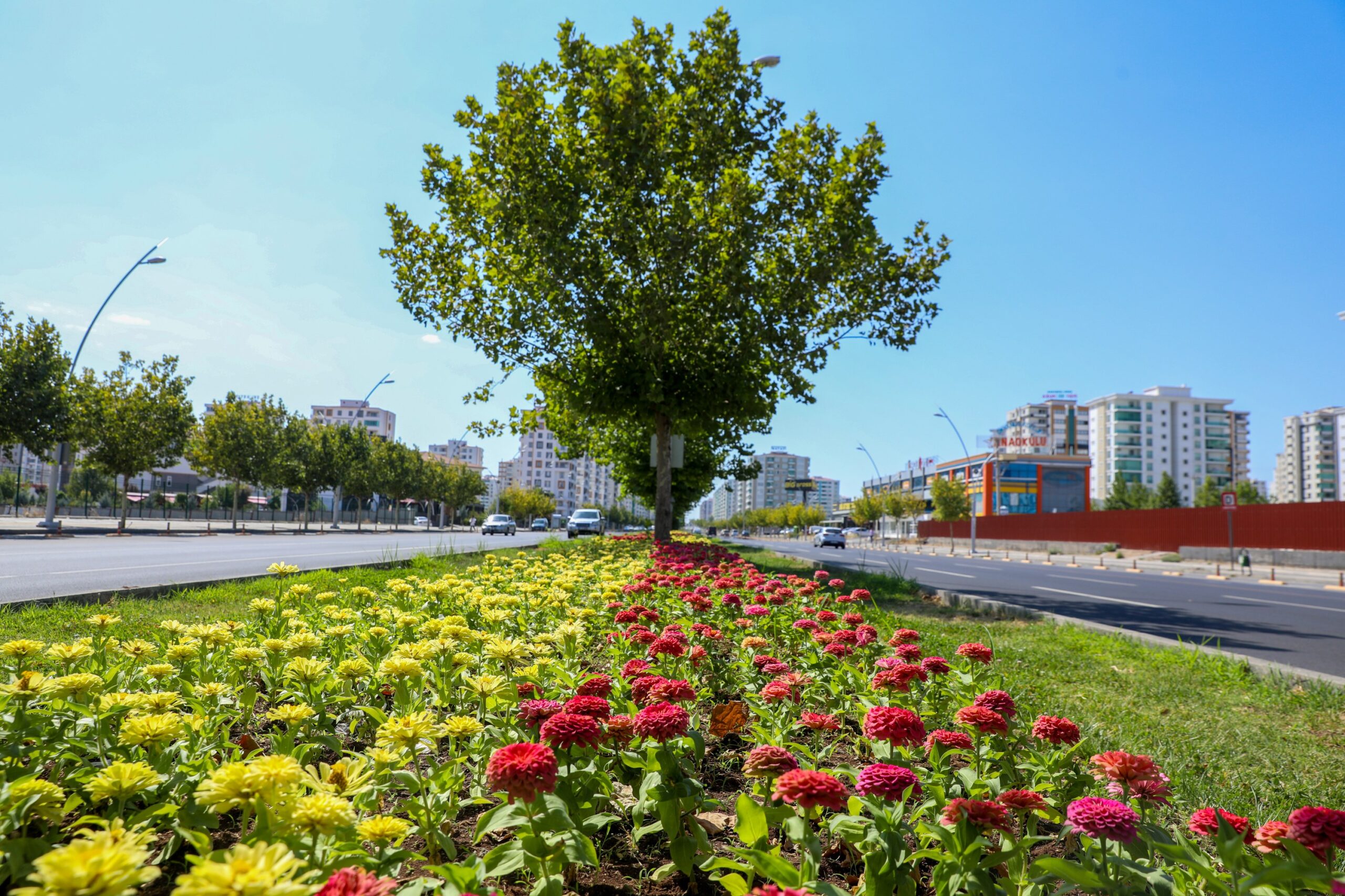 Diyarbakır 2022’de 3 milyon 384 bin mevsimlik çiçekle süslendi