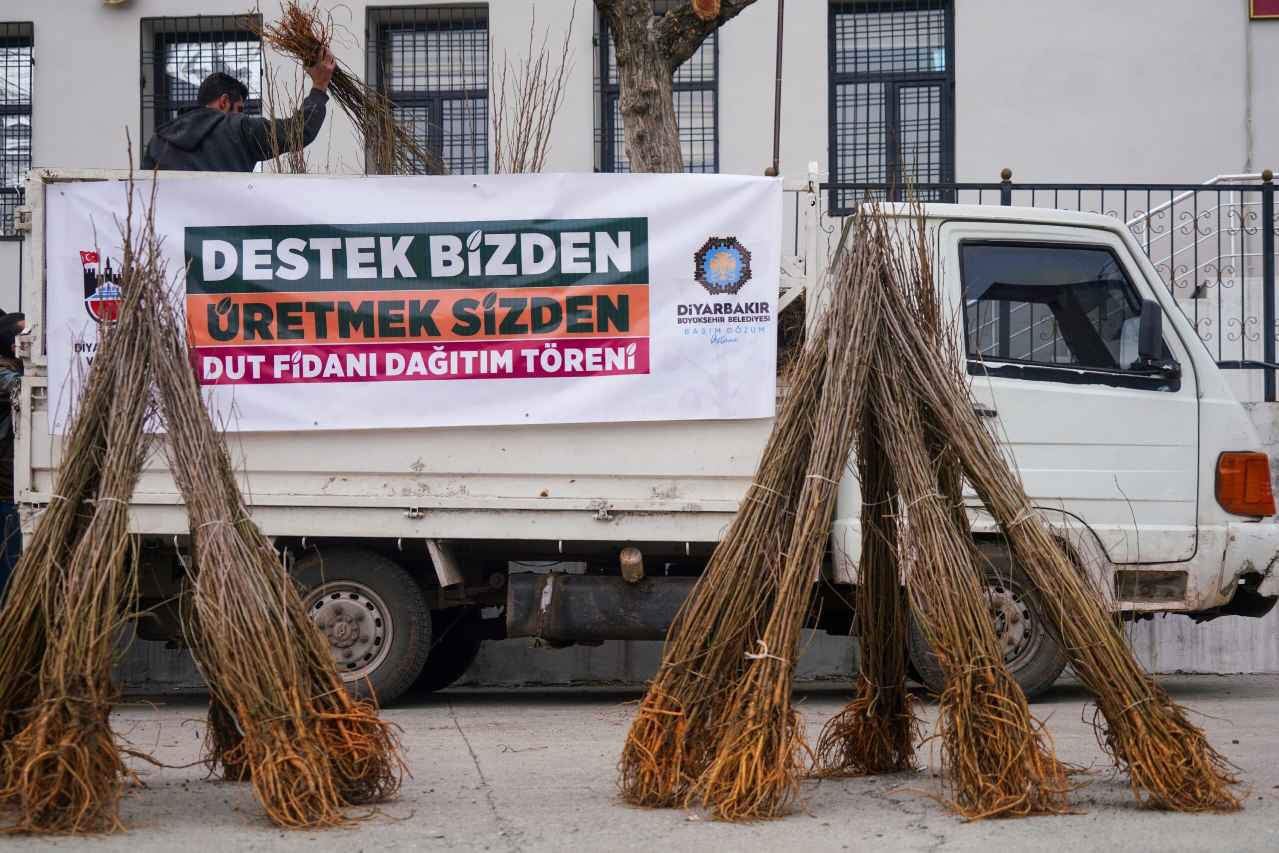 Diyarbakır’da üreticilere dut fidanı desteği