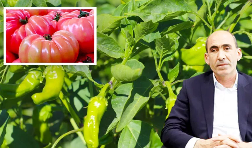 Diyarbakır’ın 7 ürünü için coğrafi işaret raporu