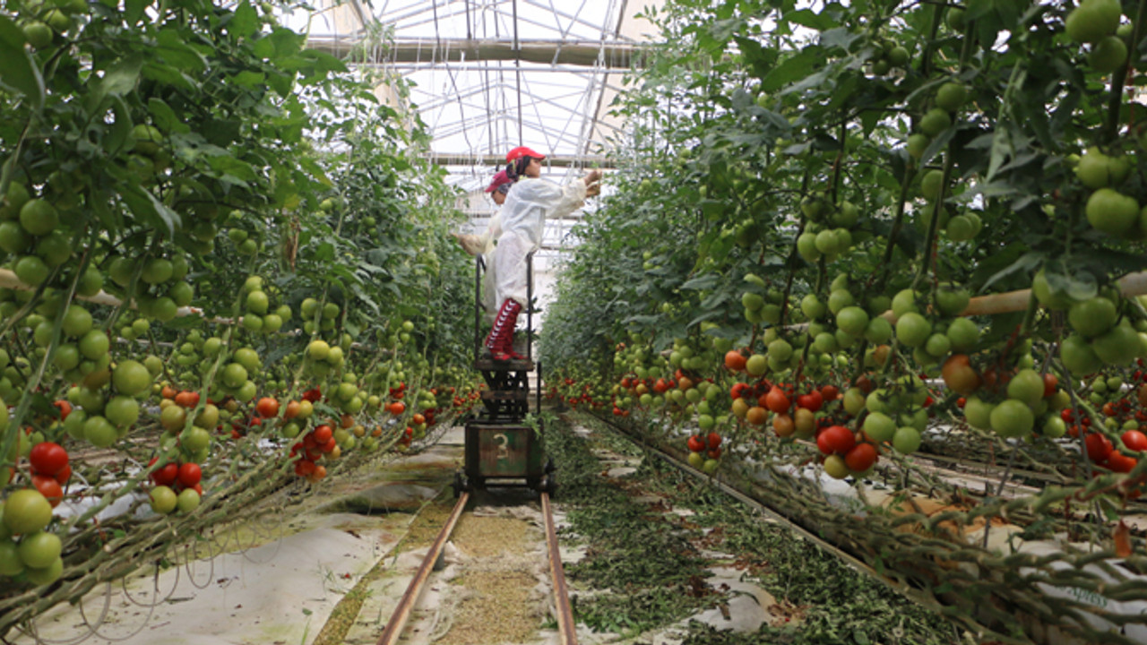 Tarımda “jeotermal” devri