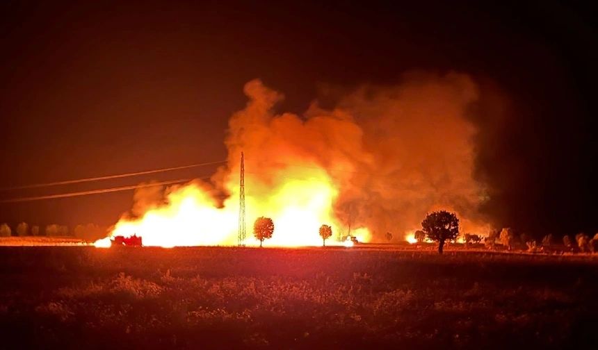 Diyarbakır’da büyük yangın; 400 dönüm buğday ve mercimek kül oldu