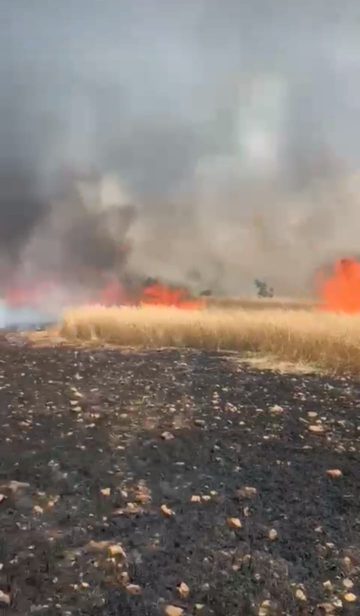 Diyarbakır Hani’de yine yangın; buğday tarlaları yanıyor
