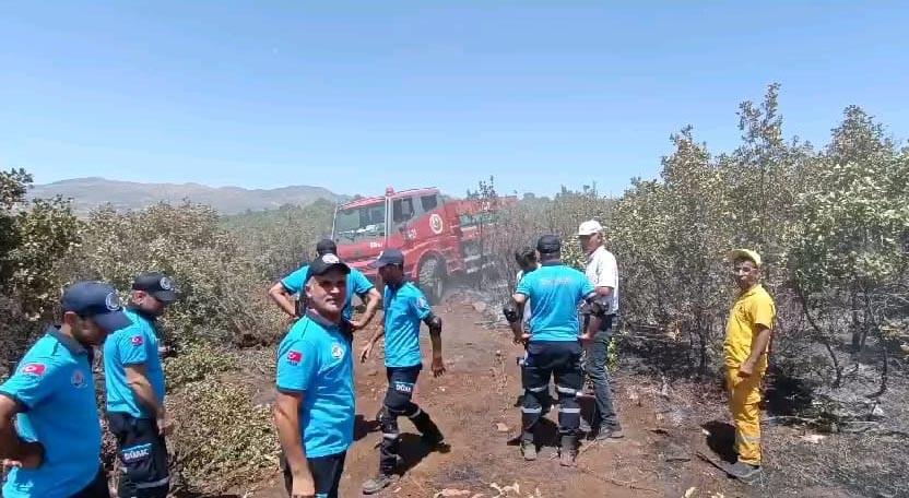 Lice’deki ormanı yangın 18 saat sonra kontrol altına alındı