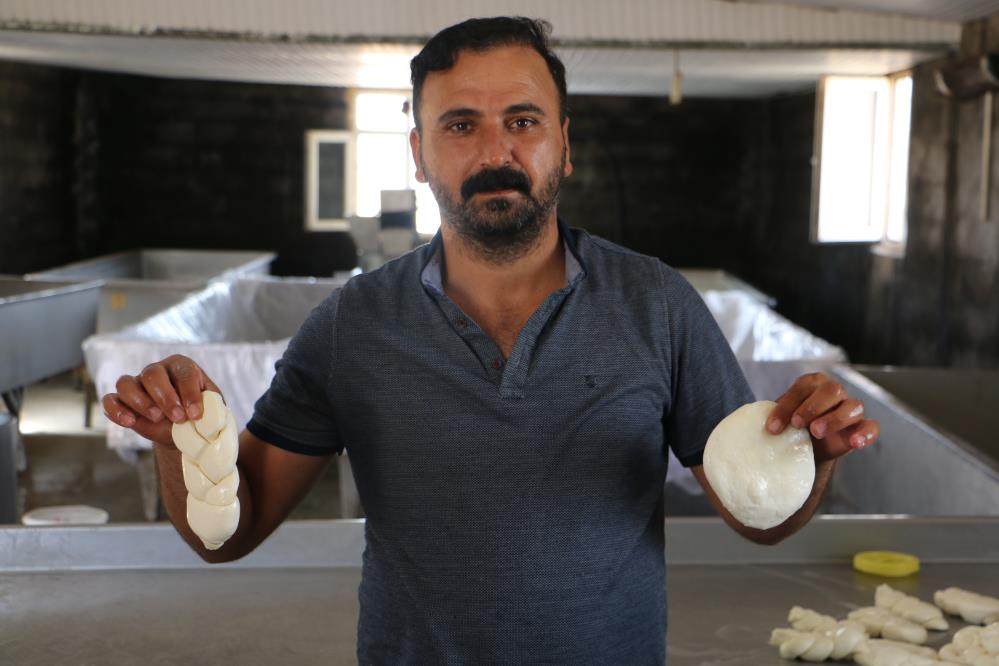 Diyarbakır’dan 81 vilayete mandıra peyniri ihracatı