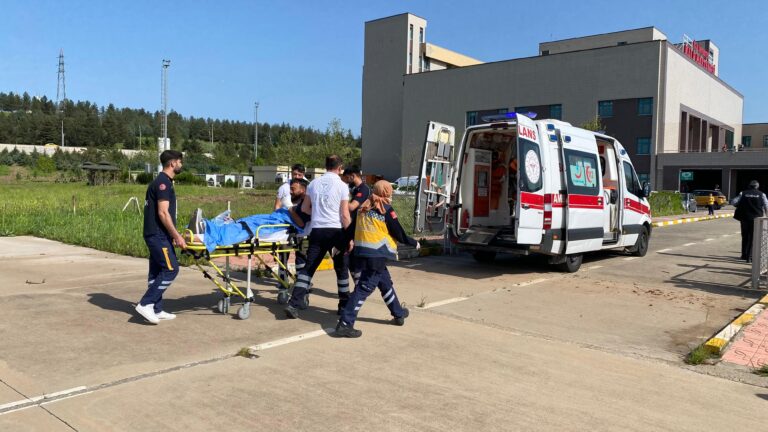 Diyarbakır’da ağaç budarken baş parmağını kopardı