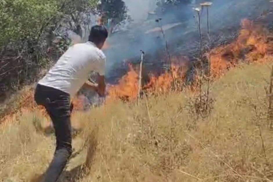 Diyarbakır’daki orman yangını kontrol altına alındı