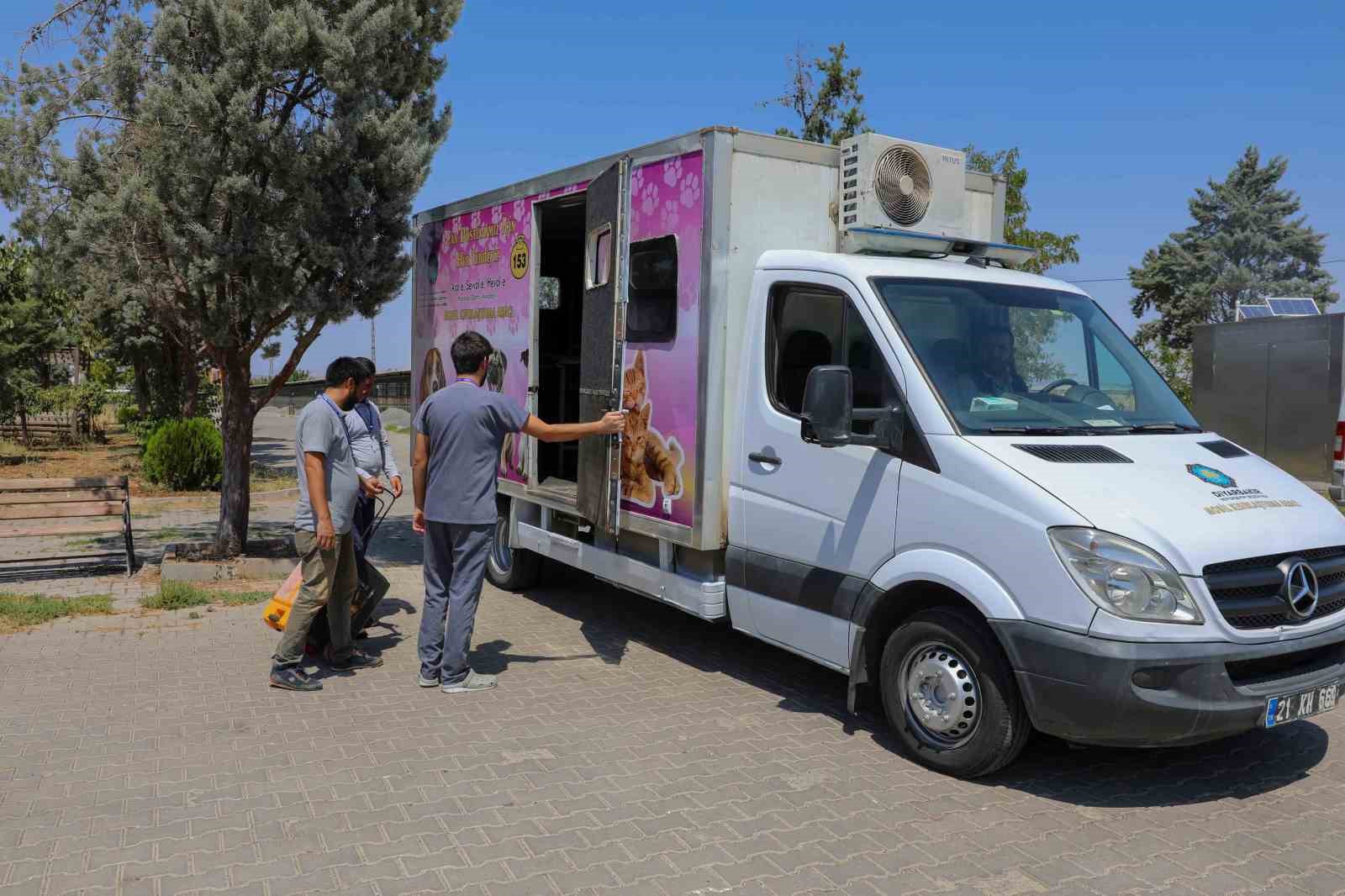 Diyarbakır’da mobil kısırlaştırma aracı sokak hayvanları için hizmet verecek