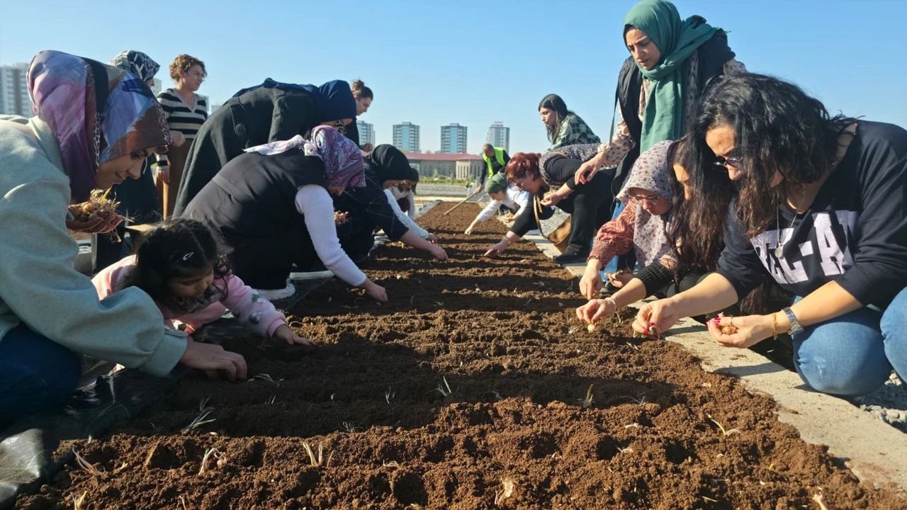 Diyarbakır’da tıbbi ve aromatik bitki tohumları toprağa ekildi
