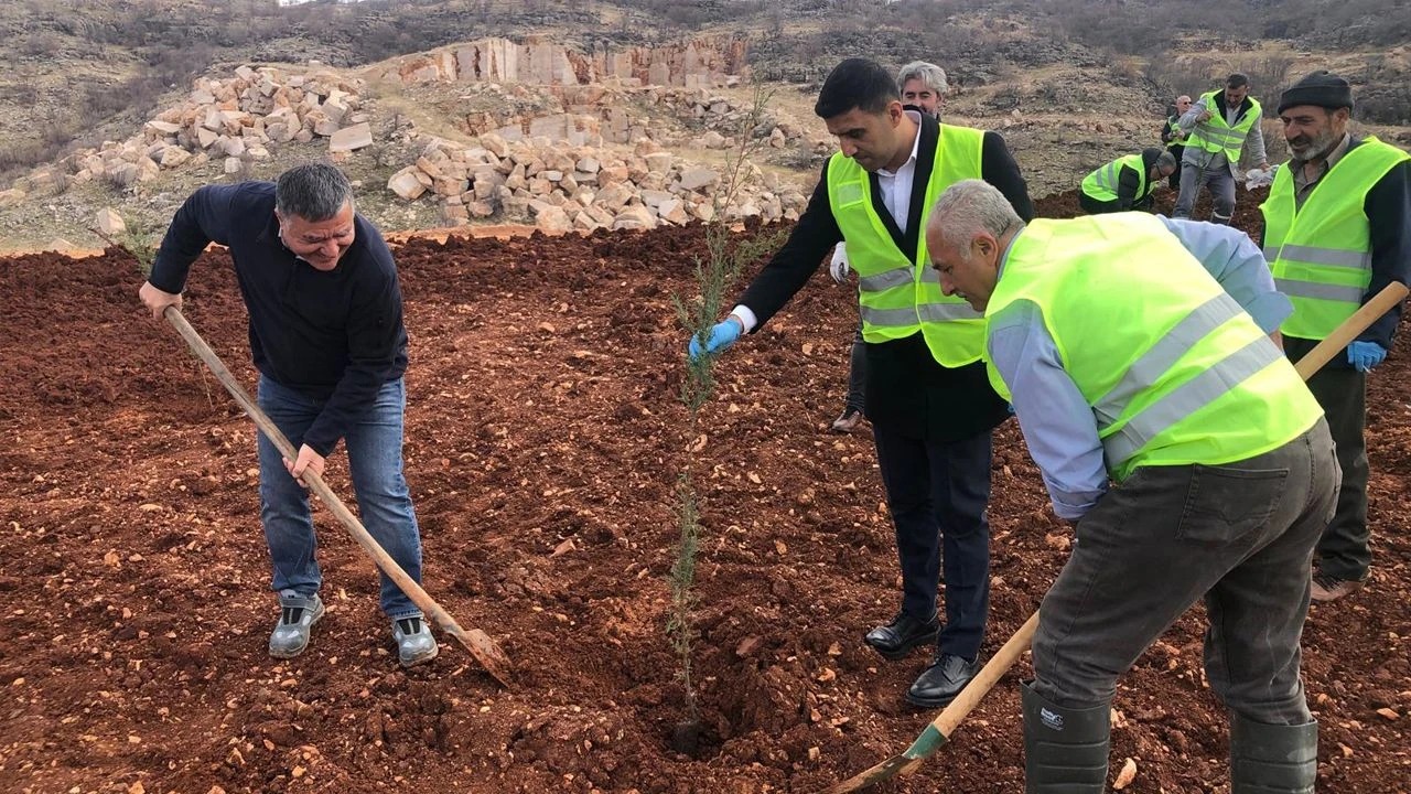 Mermeri aldı, doğayı geri verdi: DİMER’den 70 dönümlük yeşil miras