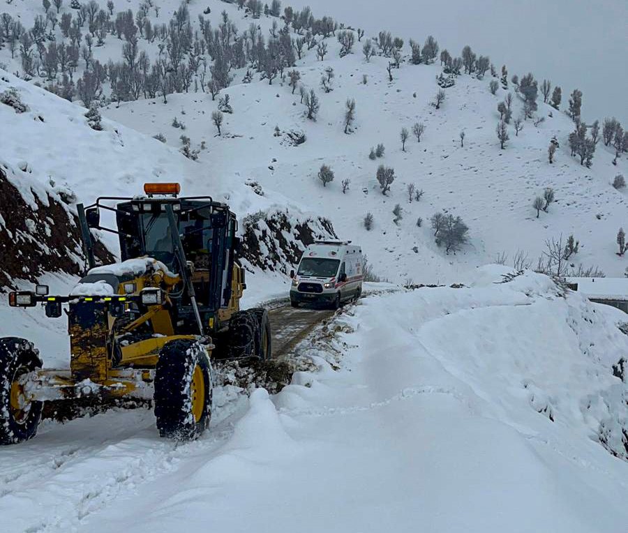 Diyarbakır Büyükşehir Belediyesi: Karla mücadele devam ediyor