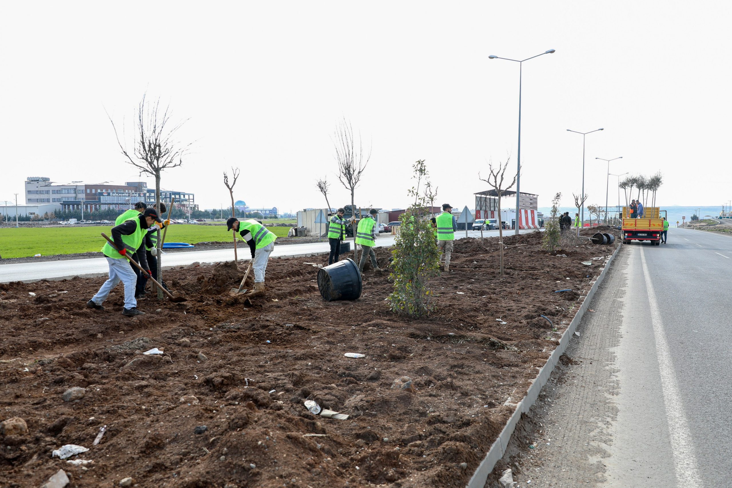 Diyarbakır’da yeni peyzaj: Mardin yolu yeşilleniyor