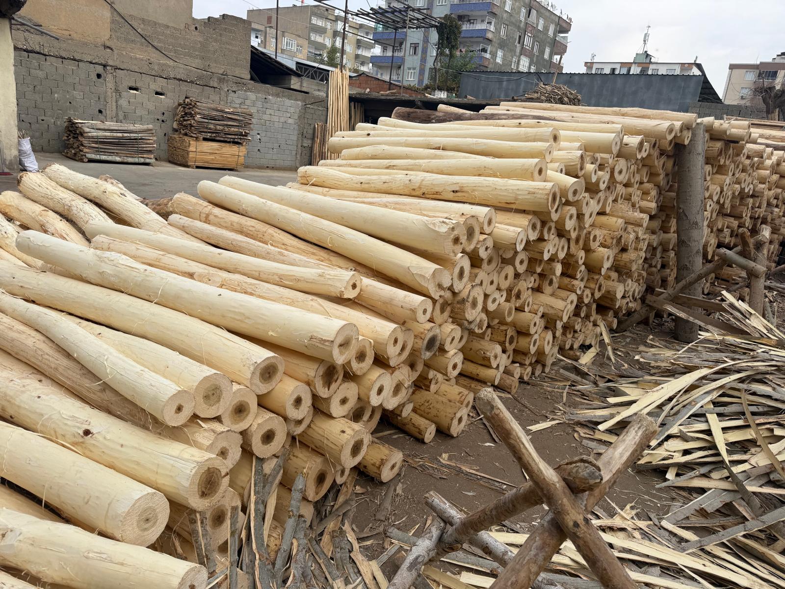 Diyarbakır’dan Ankara’ya çarpıcı rapor: Dağlar çıplak kaldı!